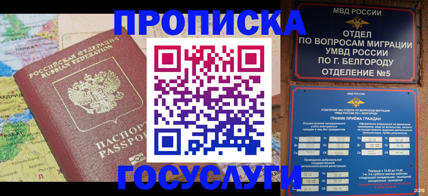 прописка регистрация в Александрове